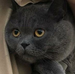 Meet your Posher, Leah